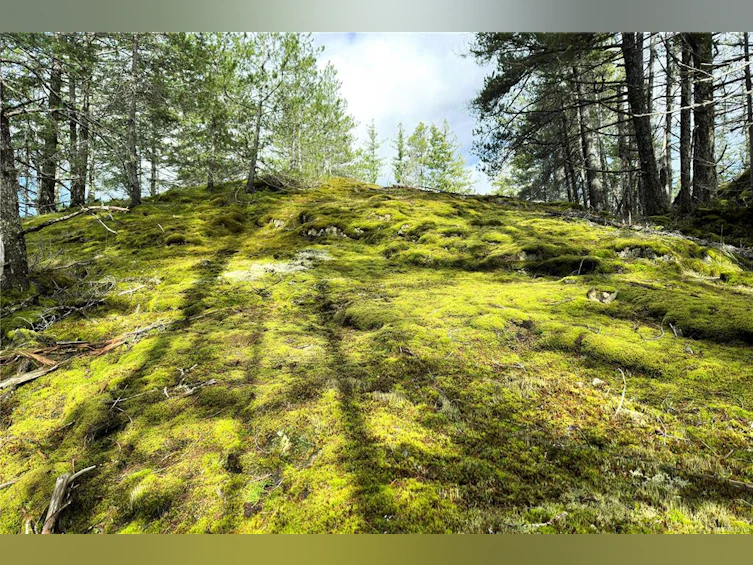 LOT 4-2140 Hyacinthe Bay Road, Quadra Island, BC, V0P 1H0 - 15