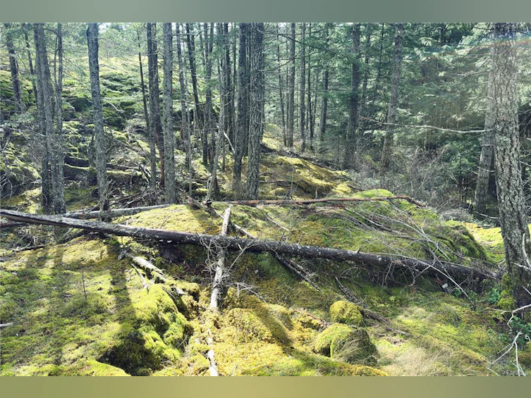 LOT 4-2140 Hyacinthe Bay Road, Quadra Island, BC, V0P 1H0 - 21
