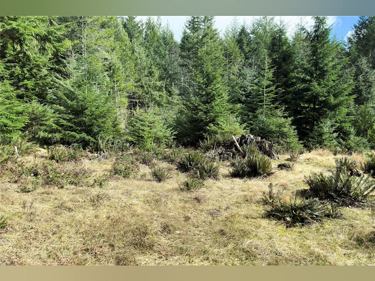LOT 4-2140 Hyacinthe Bay Road, Quadra Island, BC, V0P 1H0 - 29