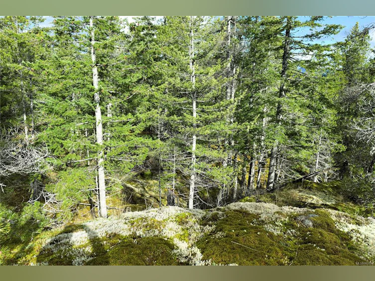 LOT 4-2140 Hyacinthe Bay Road, Quadra Island, BC, V0P 1H0 - 30