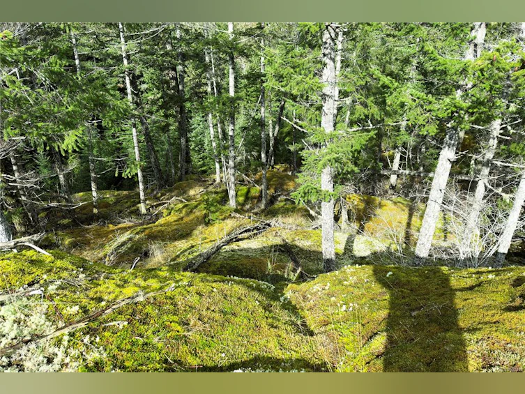 LOT 4-2140 Hyacinthe Bay Road, Quadra Island, BC, V0P 1H0 - 32