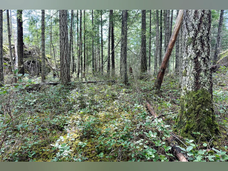 LOT 4-2140 Hyacinthe Bay Road, Quadra Island, BC, V0P 1H0 - 33