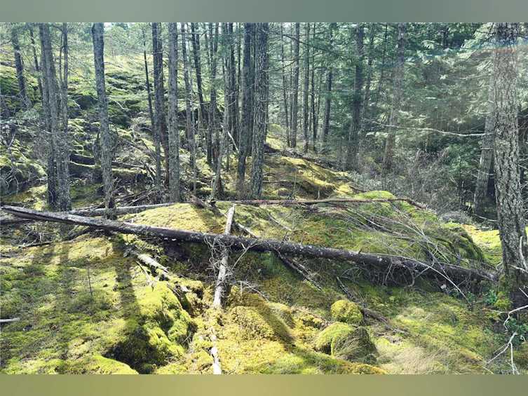 LOT 4-2140 Hyacinthe Bay Road, Quadra Island, BC, V0P 1H0 - 35