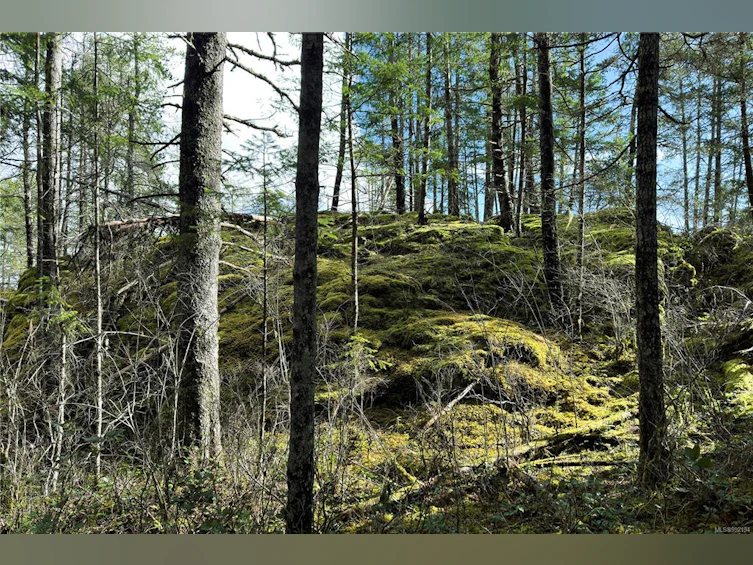 LOT 4-2140 Hyacinthe Bay Road, Quadra Island, BC, V0P 1H0 - 39