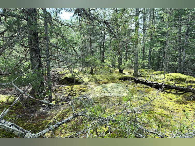 LOT 4-2140 Hyacinthe Bay Road, Quadra Island, BC, V0P 1H0 - 40