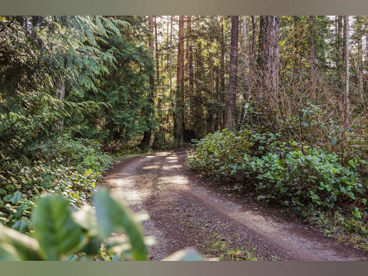 6055 Maclean Road, Hornby Island, BC, V0R 1Z0 - 12