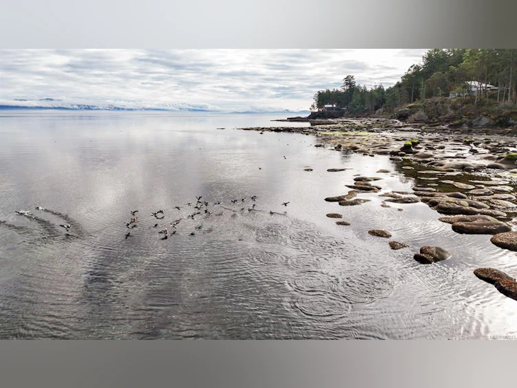 6055 Maclean Road, Hornby Island, BC, V0R 1Z0 - 32