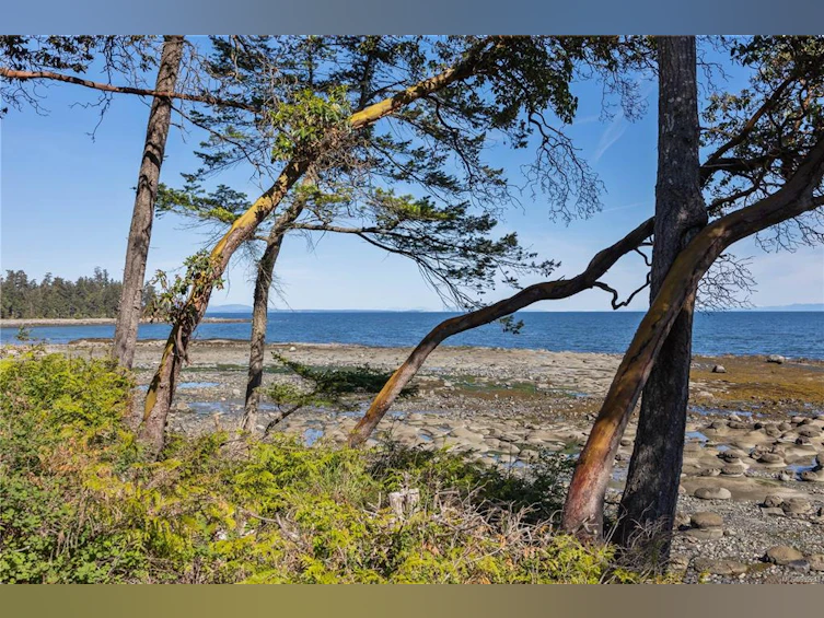 6055 Maclean Road, Hornby Island, BC, V0R 1Z0 - 37