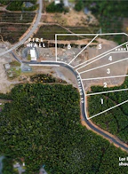 6 Ashling Road