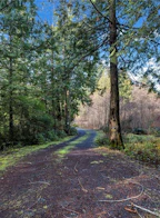 5595 East Sooke Road