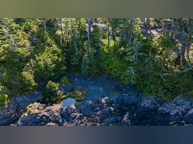 392 Reef Point Road, Ucluelet, BC, V0R 3A0 - 2