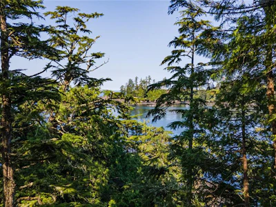 392 Reef Point Road - 3