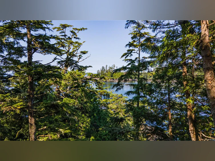 392 Reef Point Road, Ucluelet, BC, V0R 3A0 - 3