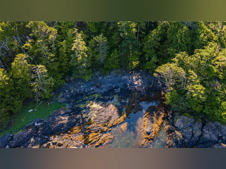 392 Reef Point Road, Ucluelet, BC, V0R 3A0 - 9