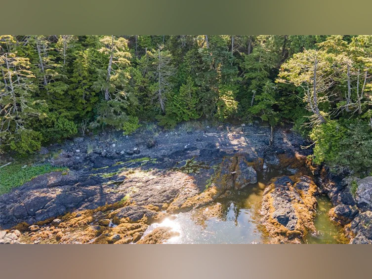 392 Reef Point Road, Ucluelet, BC, V0R 3A0 - 10