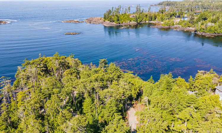 392 Reef Point Road