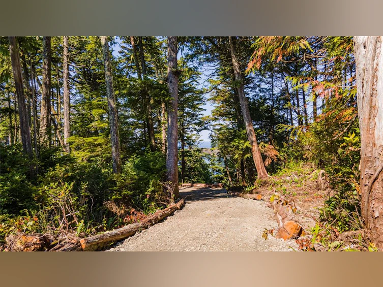 392 Reef Point Road, Ucluelet, BC, V0R 3A0 - 14