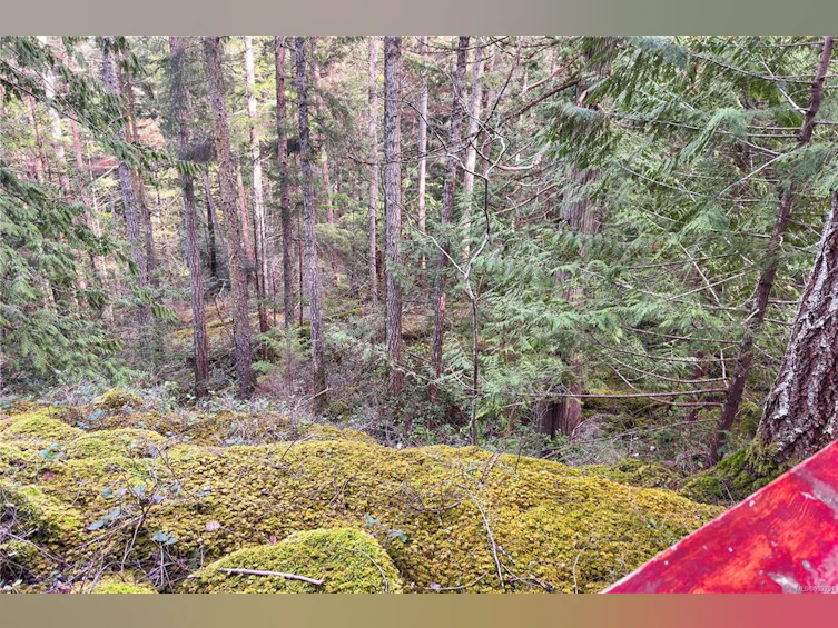 314 Harbour Road, Cortes Island, BC, V0P 1Z0 - 52
