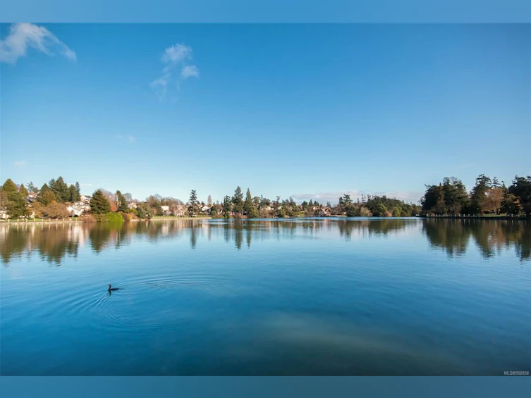2987 Colquitz Avenue, Saanich, BC, V9A 2M2 - 35