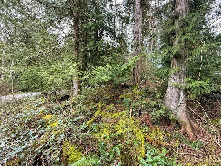 Lt 37 Dirksen Road, Gabriola Island, BC, V0R 1X2 - 12