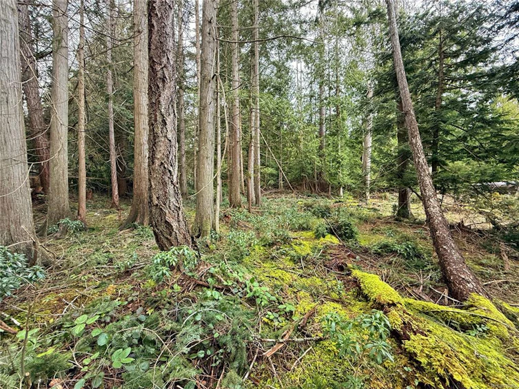 Lt 37 Dirksen Road, Gabriola Island, BC, V0R 1X2 - 4