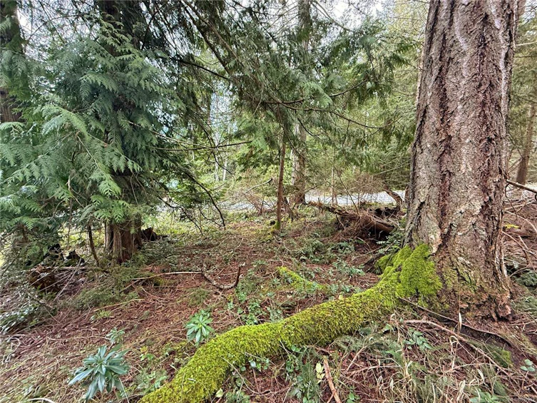 Lt 37 Dirksen Road, Gabriola Island, BC, V0R 1X2 - 5