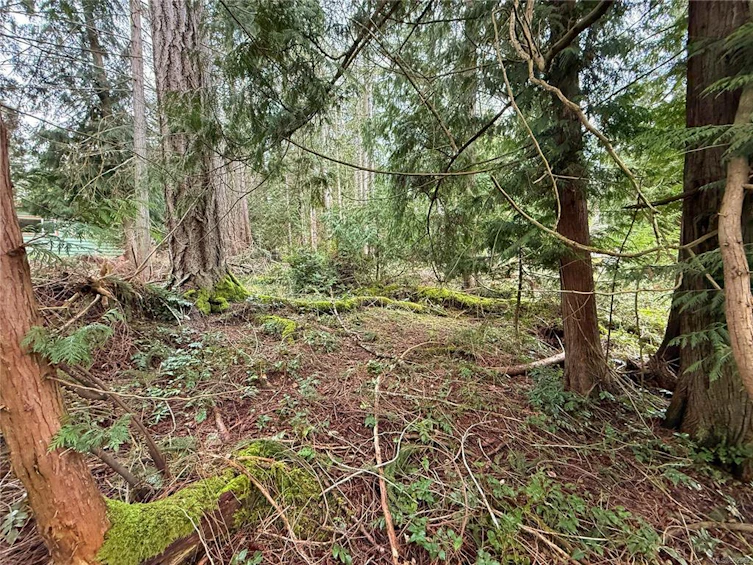Lt 37 Dirksen Road, Gabriola Island, BC, V0R 1X2 - 8