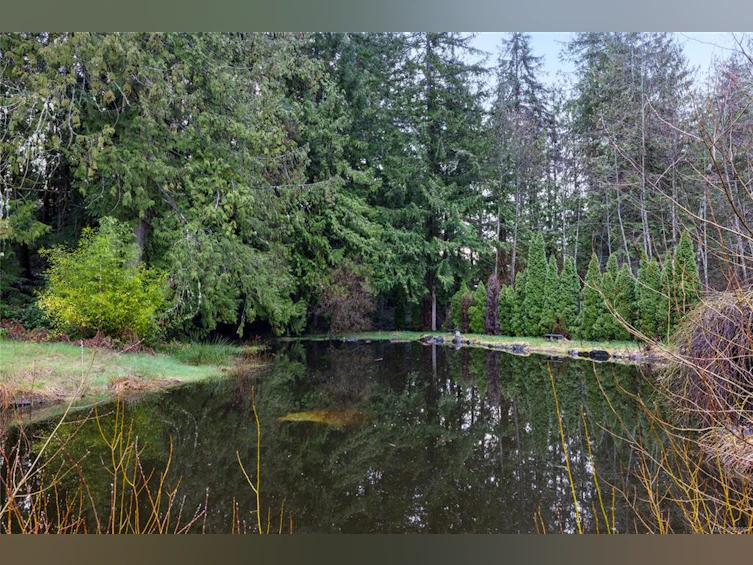 1964/1970 Errington Road, Errington, BC, V0R 1V0 - 2