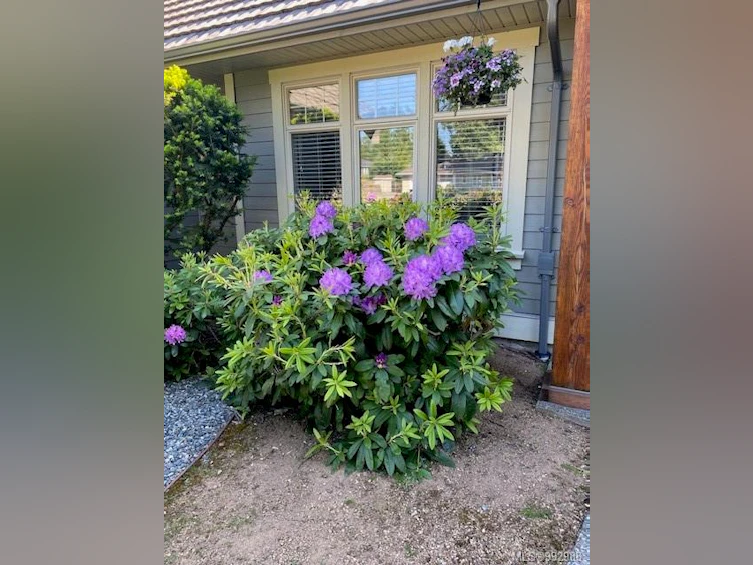 3284 Renwick Place, Fairwinds, BC, V9P 9H5 - 45