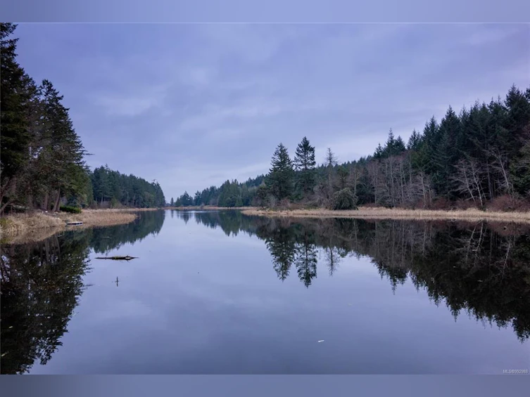 3284 Renwick Place, Fairwinds, BC, V9P 9H5 - 69