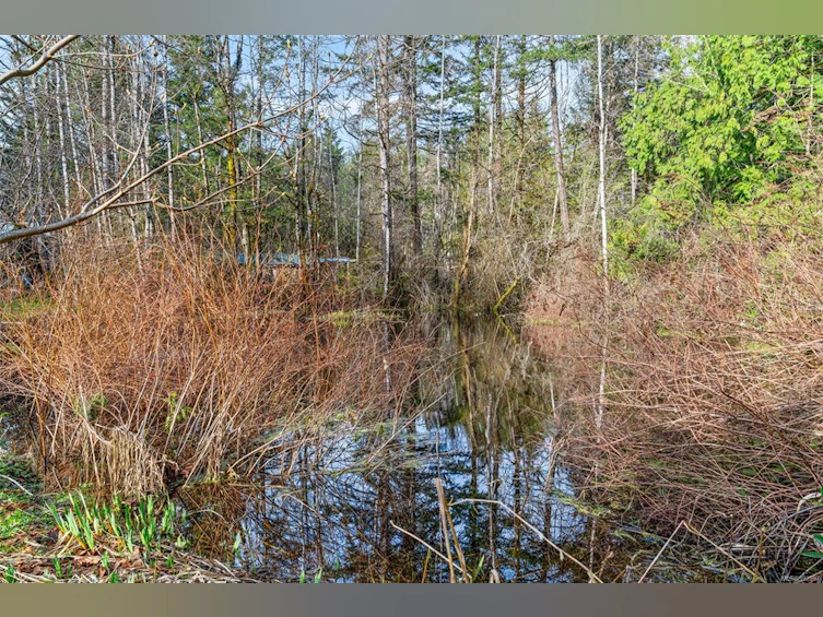 4317 Sunrise Road, Duncan, BC, V9L 6C6 - 16