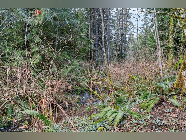 4317 Sunrise Road, Duncan, BC, V9L 6C6 - 18