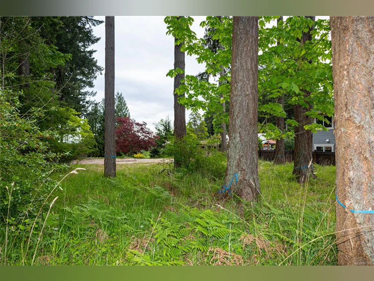 476 Old Petersen Road, Campbell River, BC, V9W 3M9 - 15