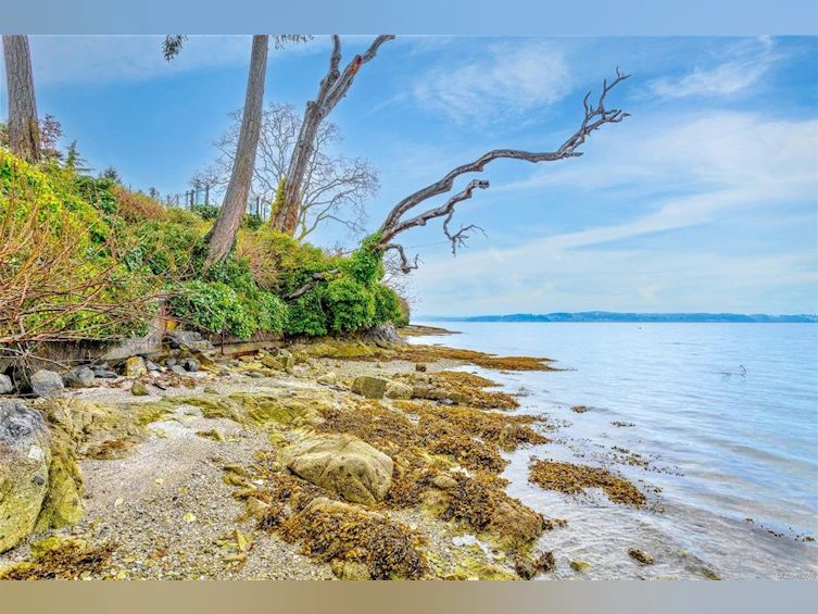 9660 Ardmore Drive, North Saanich, BC, V8L 5H5 - 72