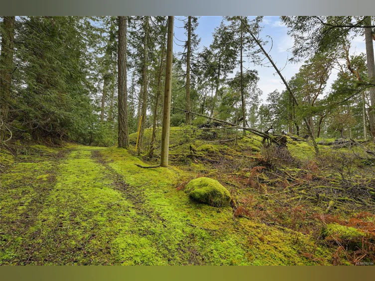 604 Fernhill Road, Mayne Island, BC, V0N 2J2 - 30