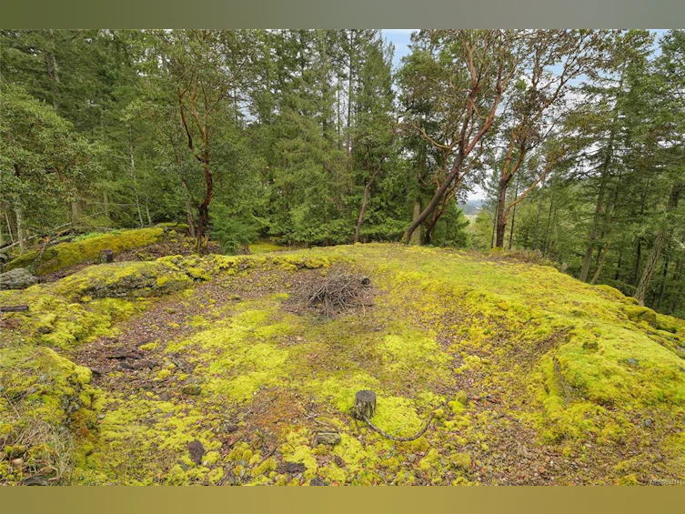604 Fernhill Road, Mayne Island, BC, V0N 2J2 - 35
