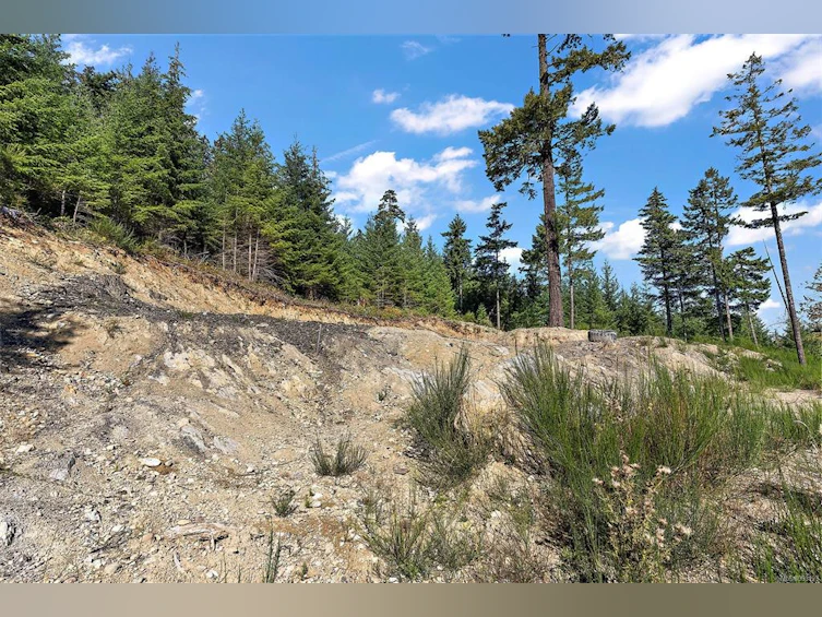 Lot 21 Goldstream Heights Drive, Malahat Proper, BC, A1A 1A1 - 12