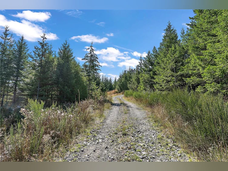 Lot 21 Goldstream Heights Drive, Malahat Proper, BC, A1A 1A1 - 16