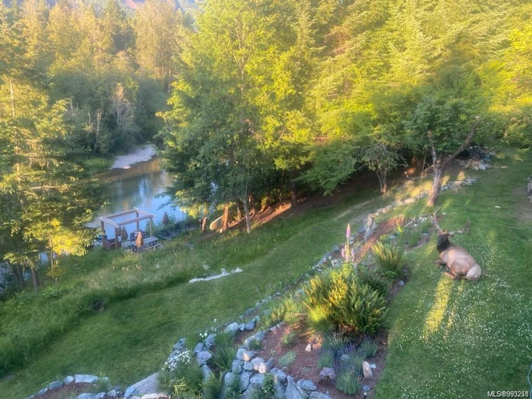 187 Nitinat Avenue, Lake Cowichan, BC, V0R 2G0 - 51