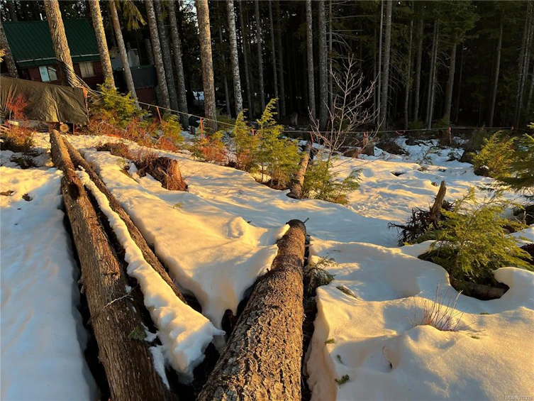 Lot 5 Forbidden Plateau Road, Courtenay, BC, V9J 1L2 - 21