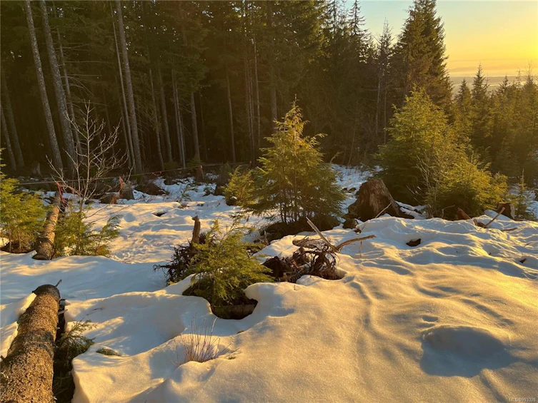 Lot 5 Forbidden Plateau Road, Courtenay, BC, V9J 1L2 - 23