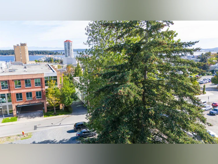 341 Robson Street, Nanaimo, BC, V9R 2V4 - 16