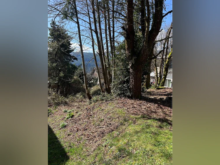 LT 11 Cypress Road, Youbou, BC, V0R 3E1 - 4