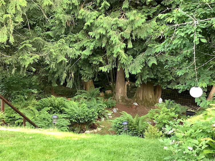 963 Davidson Road, Ladysmith, BC, V9G 1P9 - 43