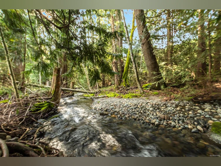 963 Davidson Road, Ladysmith, BC, V9G 1P9 - 52