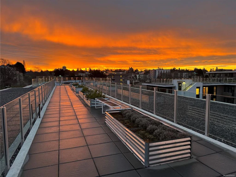 N207-1105 Pandora Street, Victoria, BC, V8V 3P9 - 35