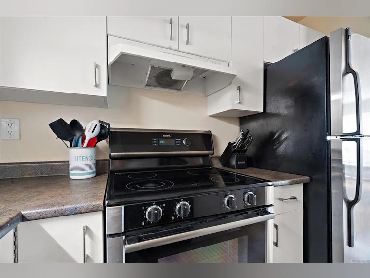 205-832 Fisgard Street, Victoria, BC, V8W 1S1 - 9