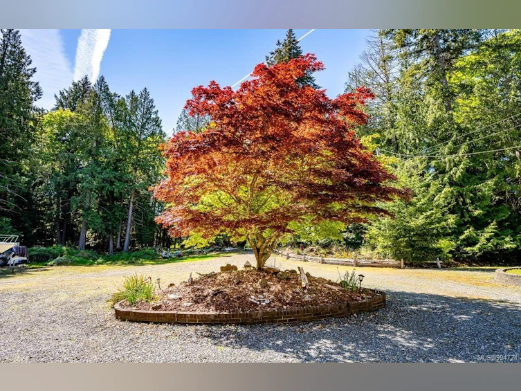 5145 Gainsberg Road, Bowser/Deep Bay, BC, V0R 1G0 - 70