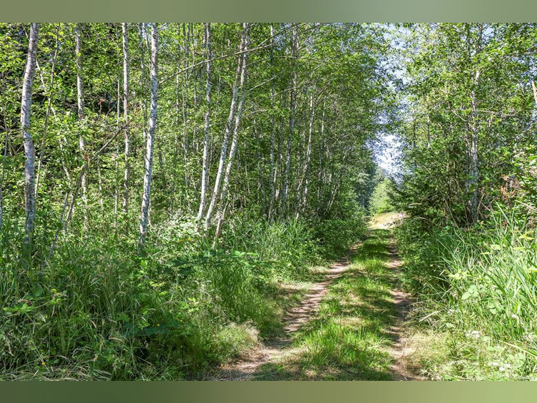 Lot 2 Little River Road, Comox, BC, V9M 4C5 - 14
