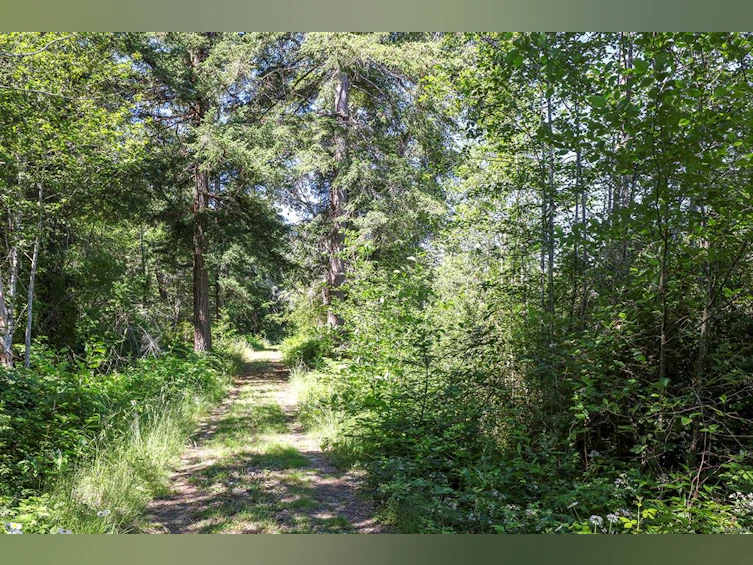 Lot 2 Little River Road, Comox, BC, V9M 4C5 - 15